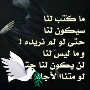 Meet your Posher, Slee